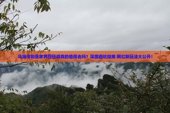 乌海市到张家界四日游