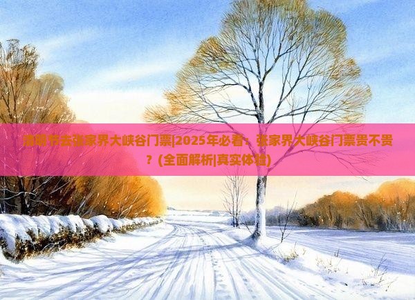 清明节去张家界大峡谷门票