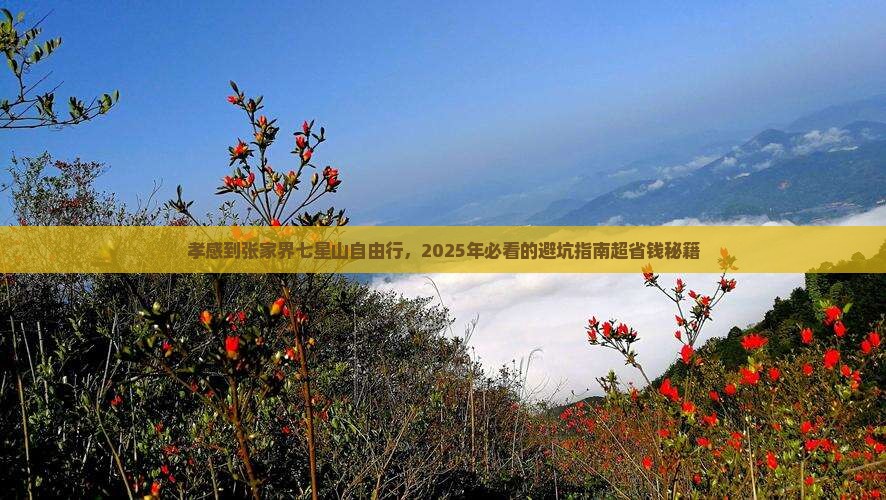 孝感去张家界七星山自由行