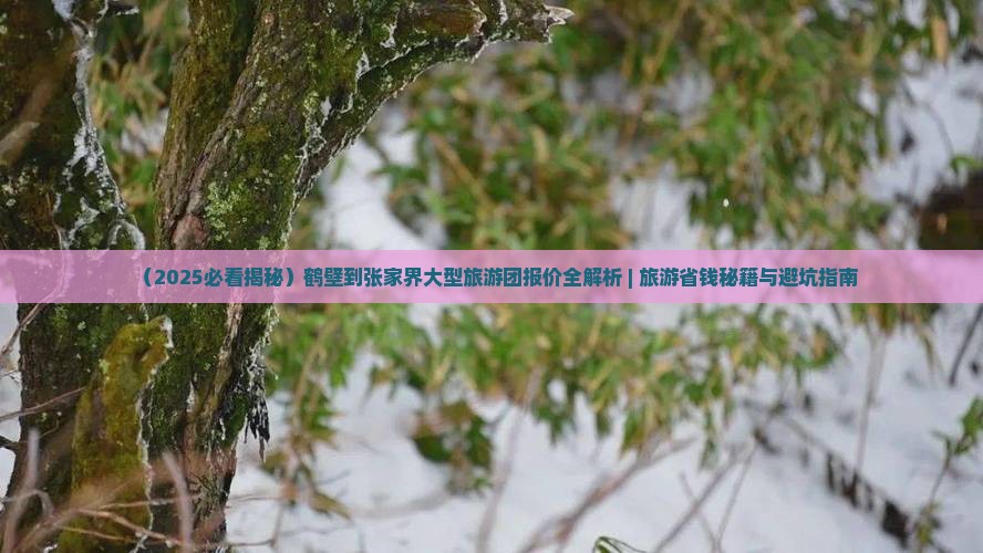 鹤壁去张家界大峡谷大型旅游团