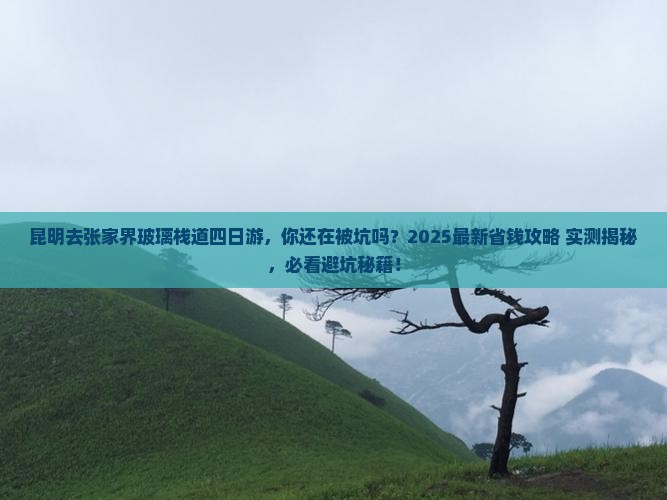 昆明去张家界玻璃栈道四日游 昆明去张家界玻璃栈道四日游