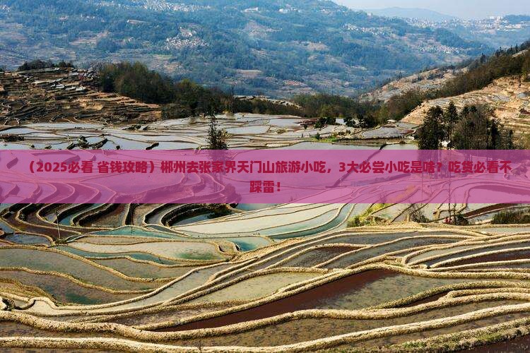 郴州去张家界天门山旅游小吃