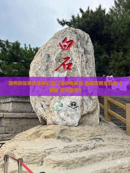 滁州到张家界森林公园门票