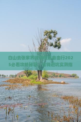白山去张家界玻璃栈道自由行