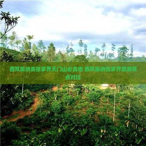西双版纳去张家界天门山必去地