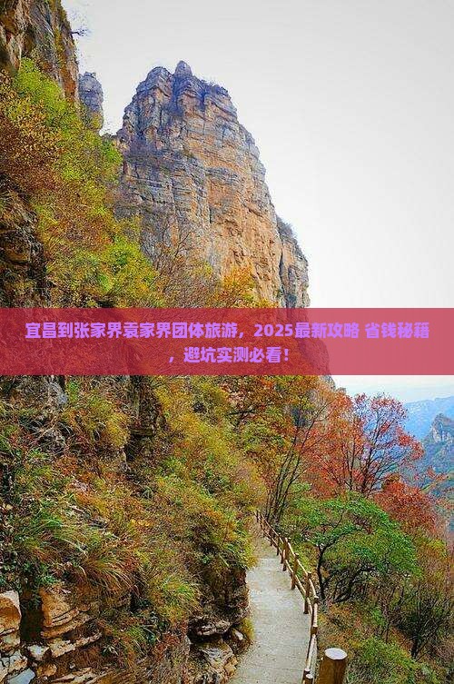 宜昌到张家界袁家界团体旅游