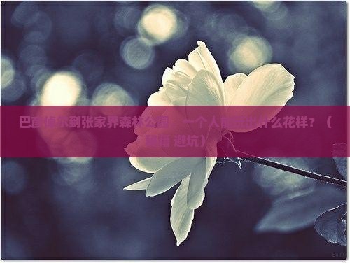 巴彦倬尔到张家界森林公园个人游