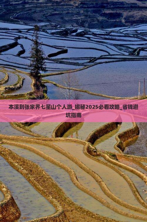 本溪到张家界七星山个人游