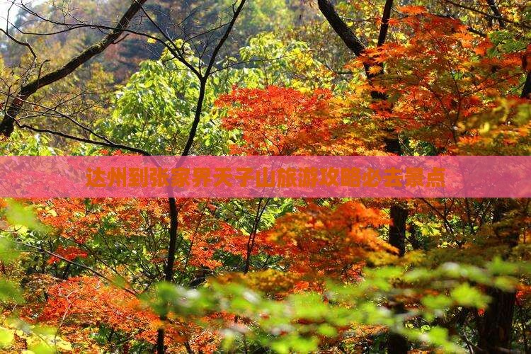 达州到张家界天子山必去地