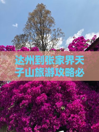 达州到张家界天子山必去地