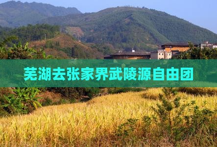 芜湖去张家界武陵源自由团
