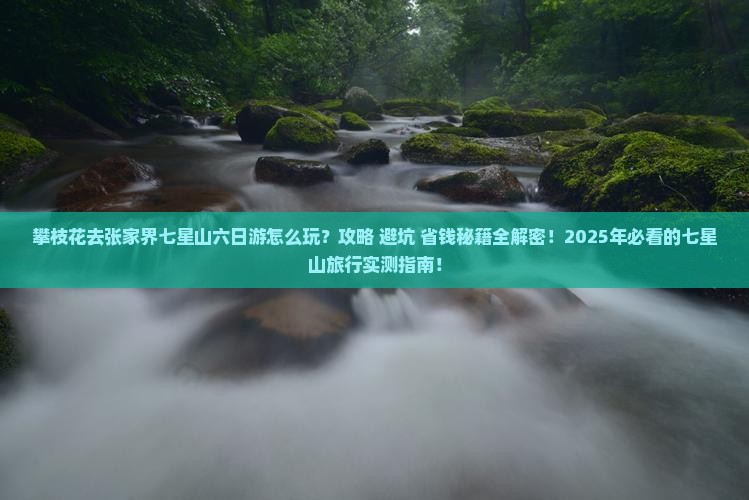 攀枝花去张家界七星山六日游