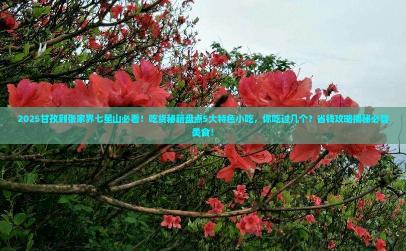 甘孜到张家界七星山旅游小吃