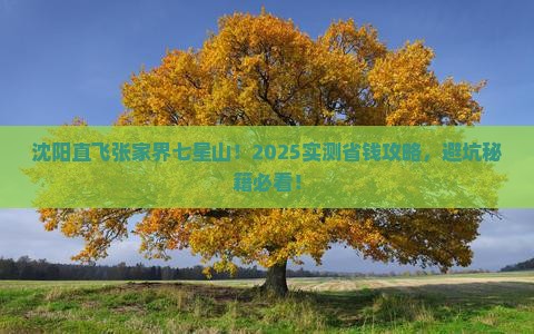 沈阳去张家界七星山个人游