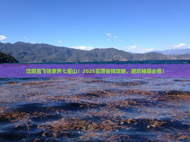 沈阳去张家界七星山个人游
