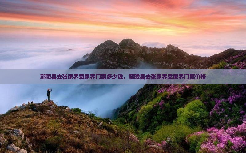 鄢陵县去张家界袁家界门票
