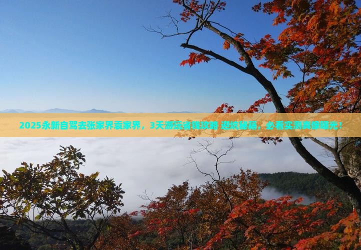 永新到张家界袁家界景点