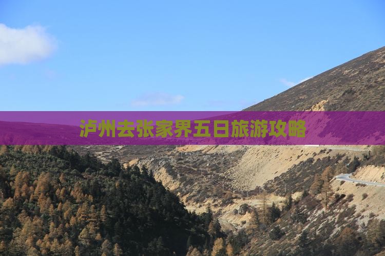 泸州去张家界袁家界五日游