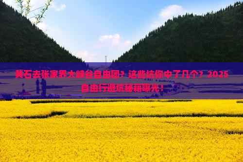 黄石去张家界大峡谷自由团