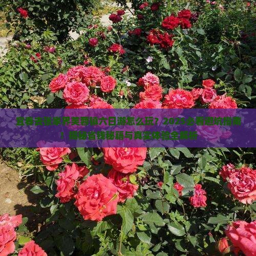 宜春去张家界芙蓉镇六日游