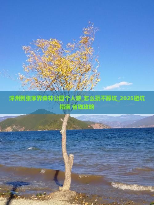 漳州到张家界森林公园个人游