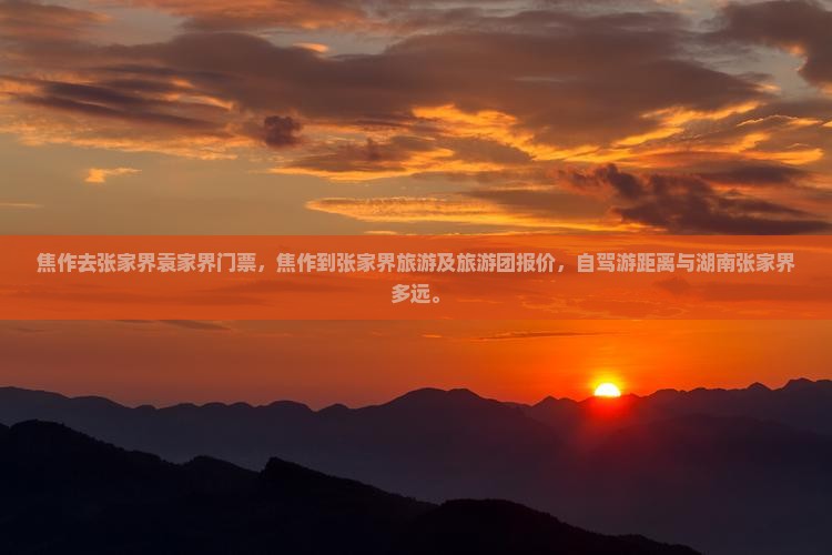 焦作去张家界袁家界门票
