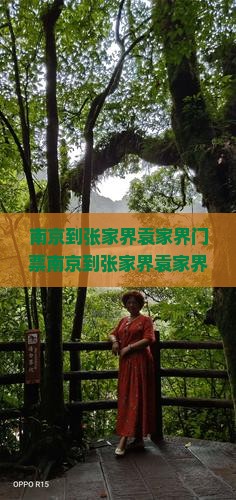 南京到张家界袁家界门票
