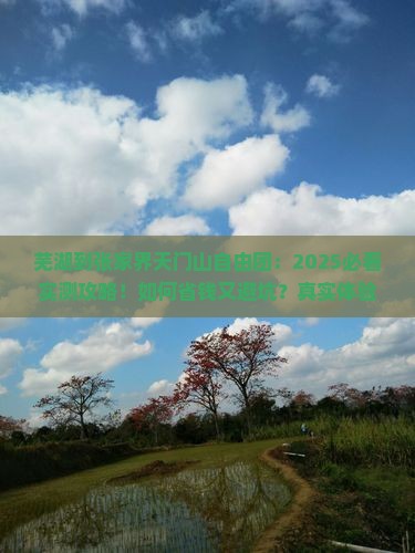 芜湖到张家界天门山自由团