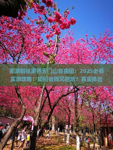芜湖到张家界天门山自由团