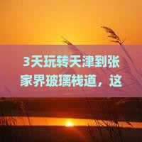 天津到张家界玻璃栈道三日游