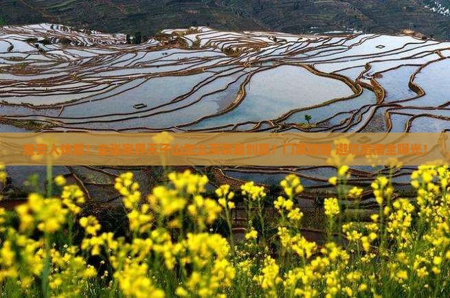 淮安去张家界天子山门票