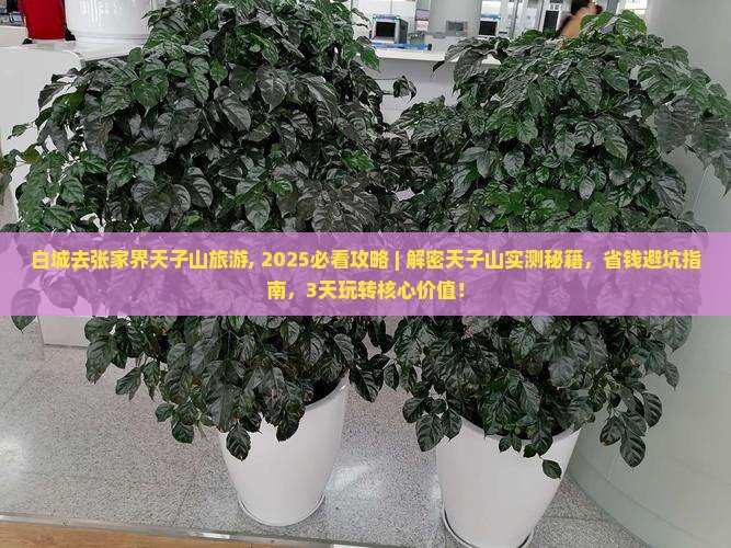 白城去张家界天子山旅游