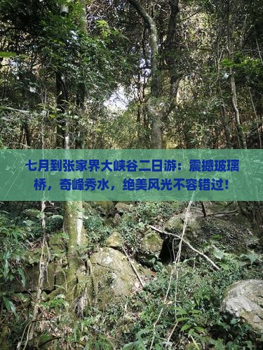 七月到张家界大峡谷二日游
