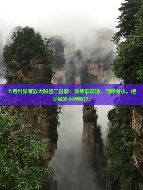 七月到张家界大峡谷二日游