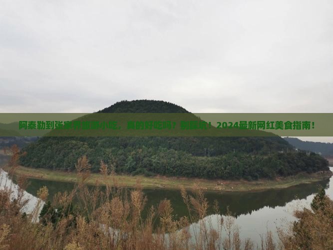 阿泰勒到张家界旅游小吃