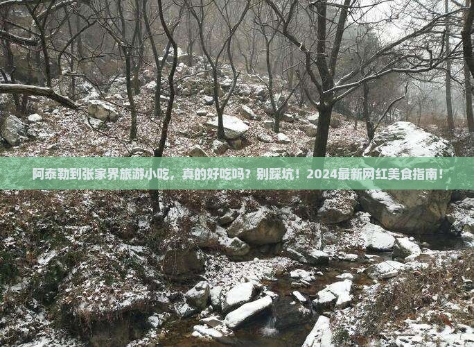 阿泰勒到张家界旅游小吃