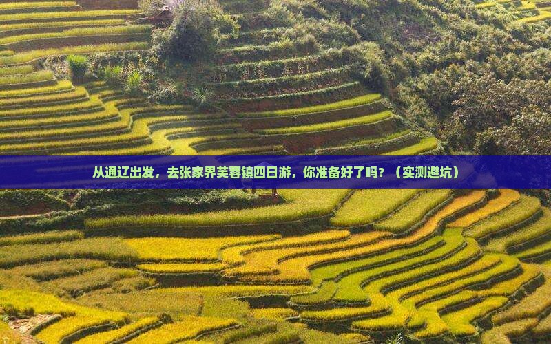 通辽去张家界芙蓉镇四日游