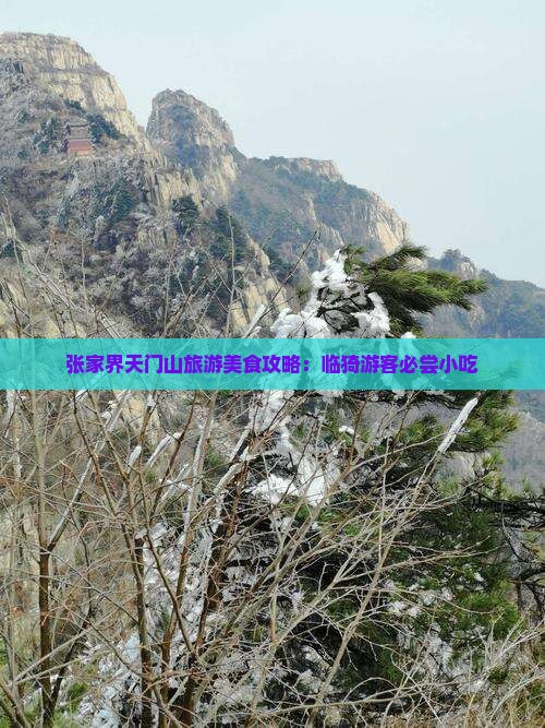 临猗到张家界天门山旅游小吃