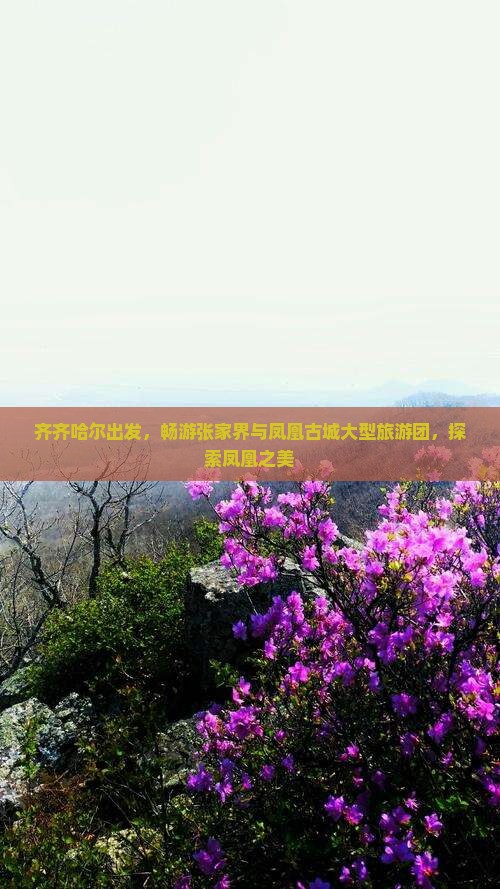 齐齐哈尔到张家界凤凰古城大型旅游团