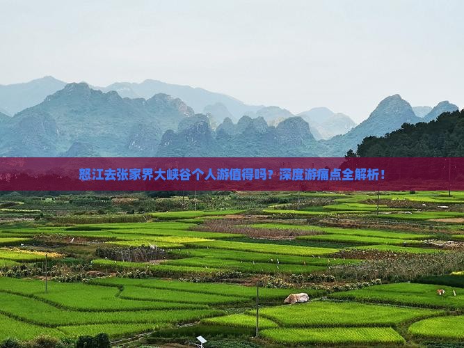 怒江去张家界大峡谷个人游