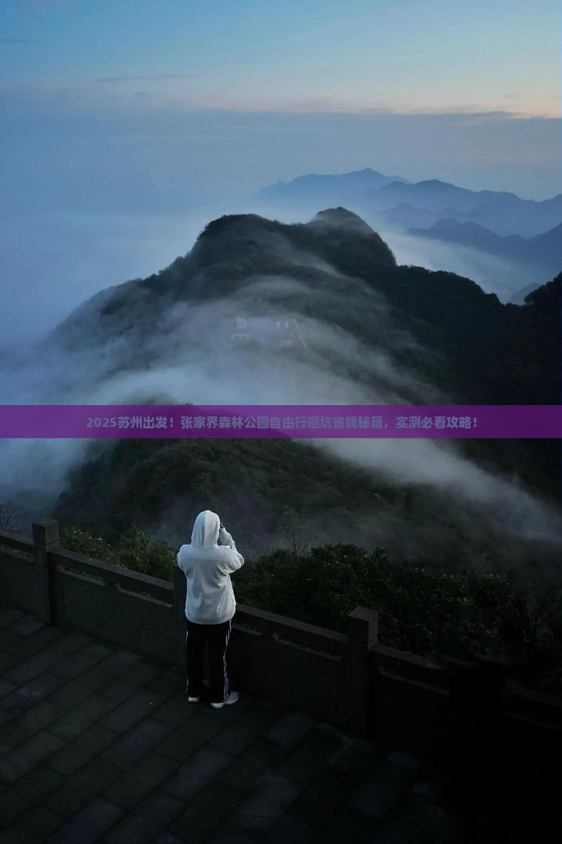 苏州到张家界森林公园自由行