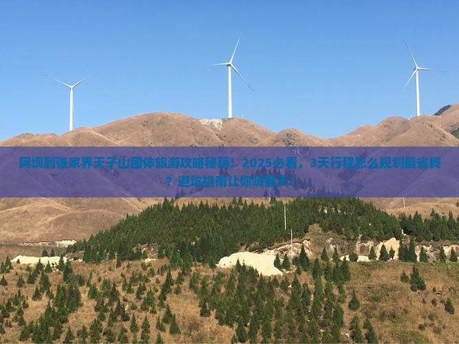 阿坝到张家界天子山团体旅游