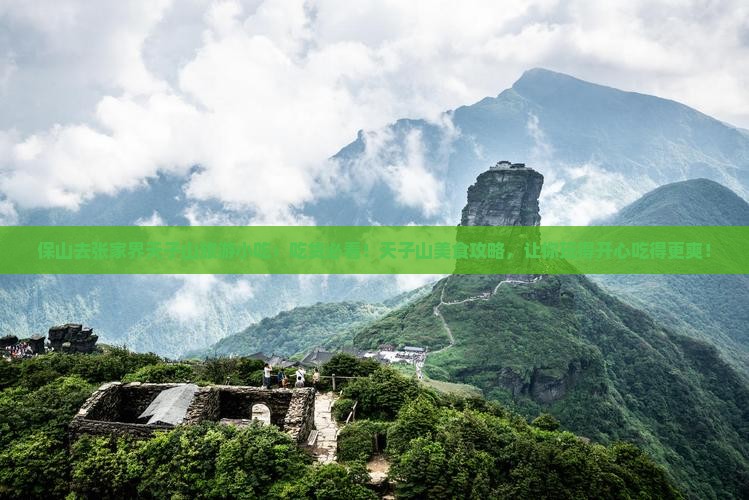 保山去张家界天子山旅游小吃