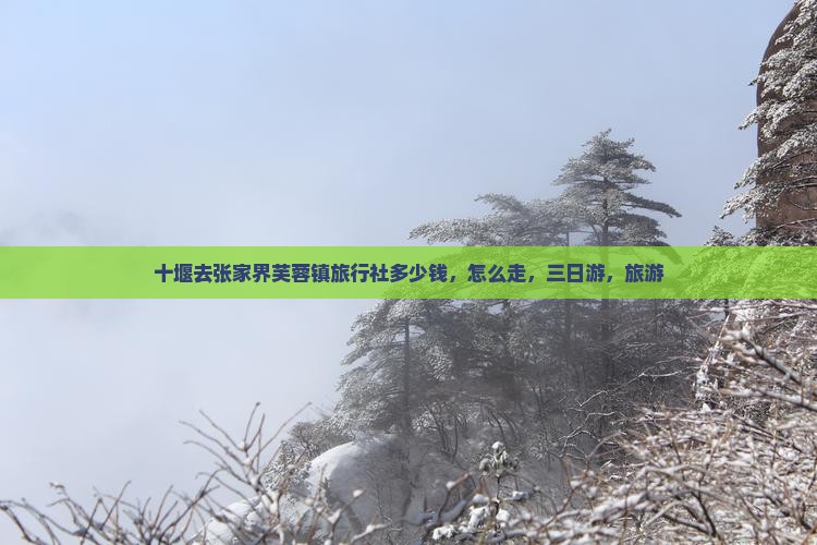 十堰去张家界芙蓉镇旅行社