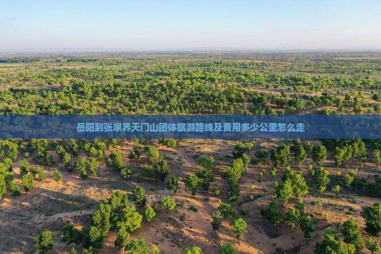岳阳到张家界天门山团体旅游