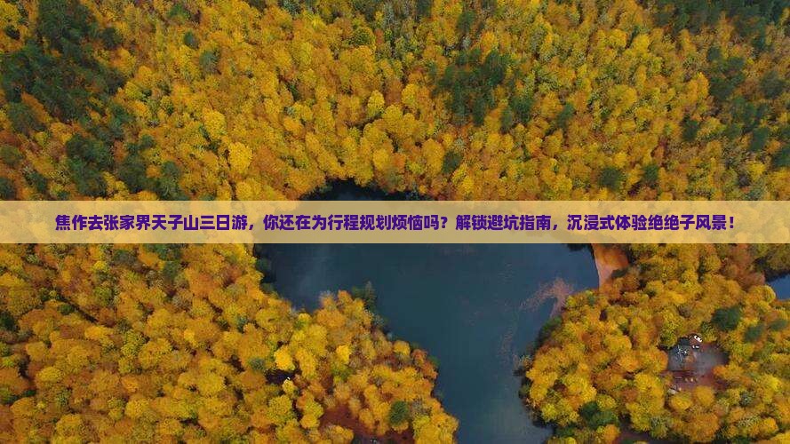 焦作去张家界天子山三日游