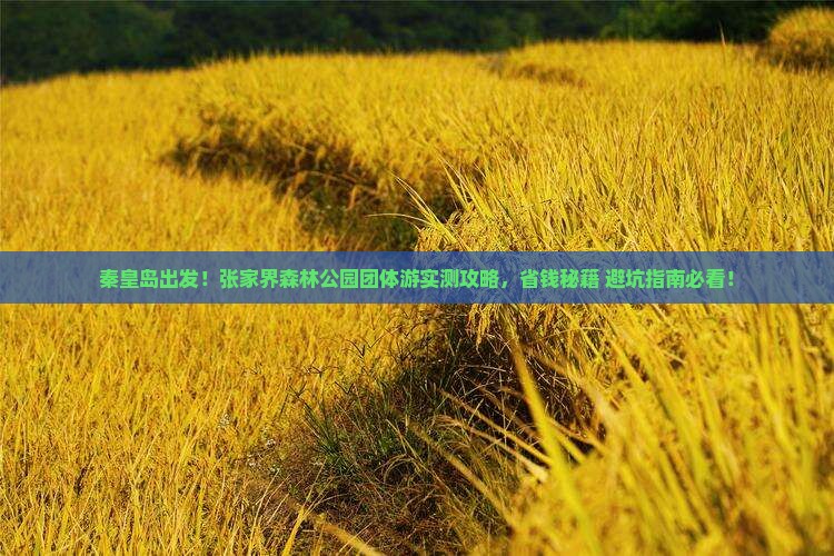 秦皇岛去张家界森林公园团体旅游