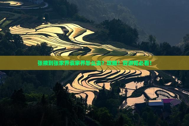 张掖到张家界袁家界攻略