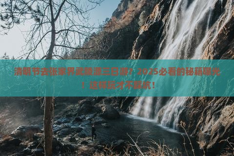 清明节去张家界武陵源三日游
