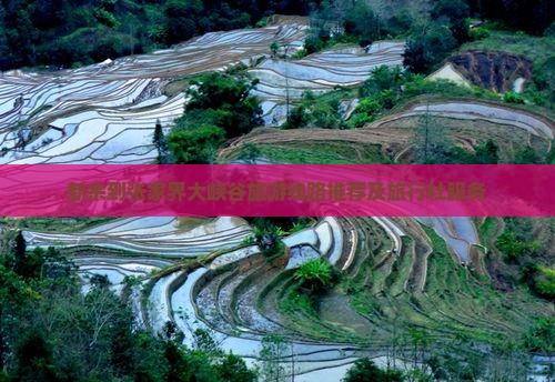 新余到张家界大峡谷旅游线路推荐及旅行社服务